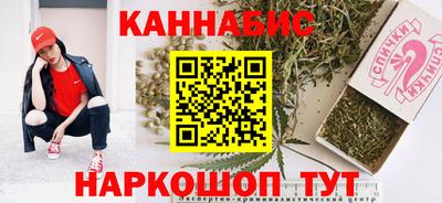 МДПВ Будённовск