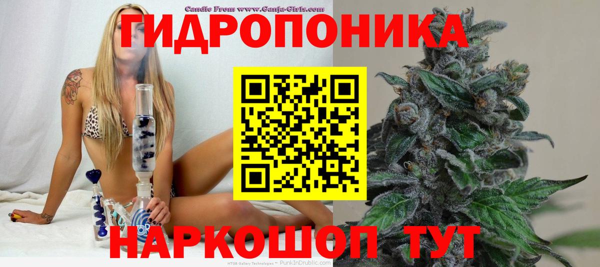 Бошки Шишки семена  Конопля LSD WEED  Вход с VPN  Ржев 